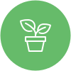 Gestion de vos absences (courriers, plantes…) Conciergerie privée icone plante